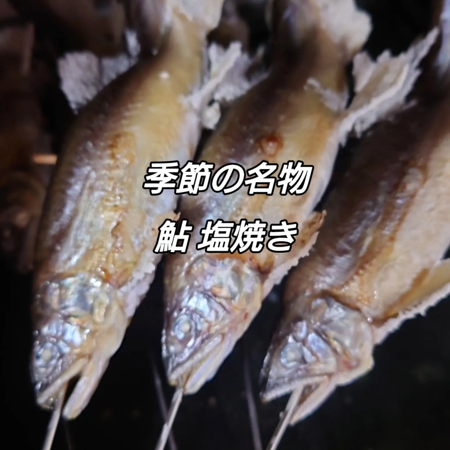 美味しい鮎（アユ)の塩焼きが今年も始まりました。