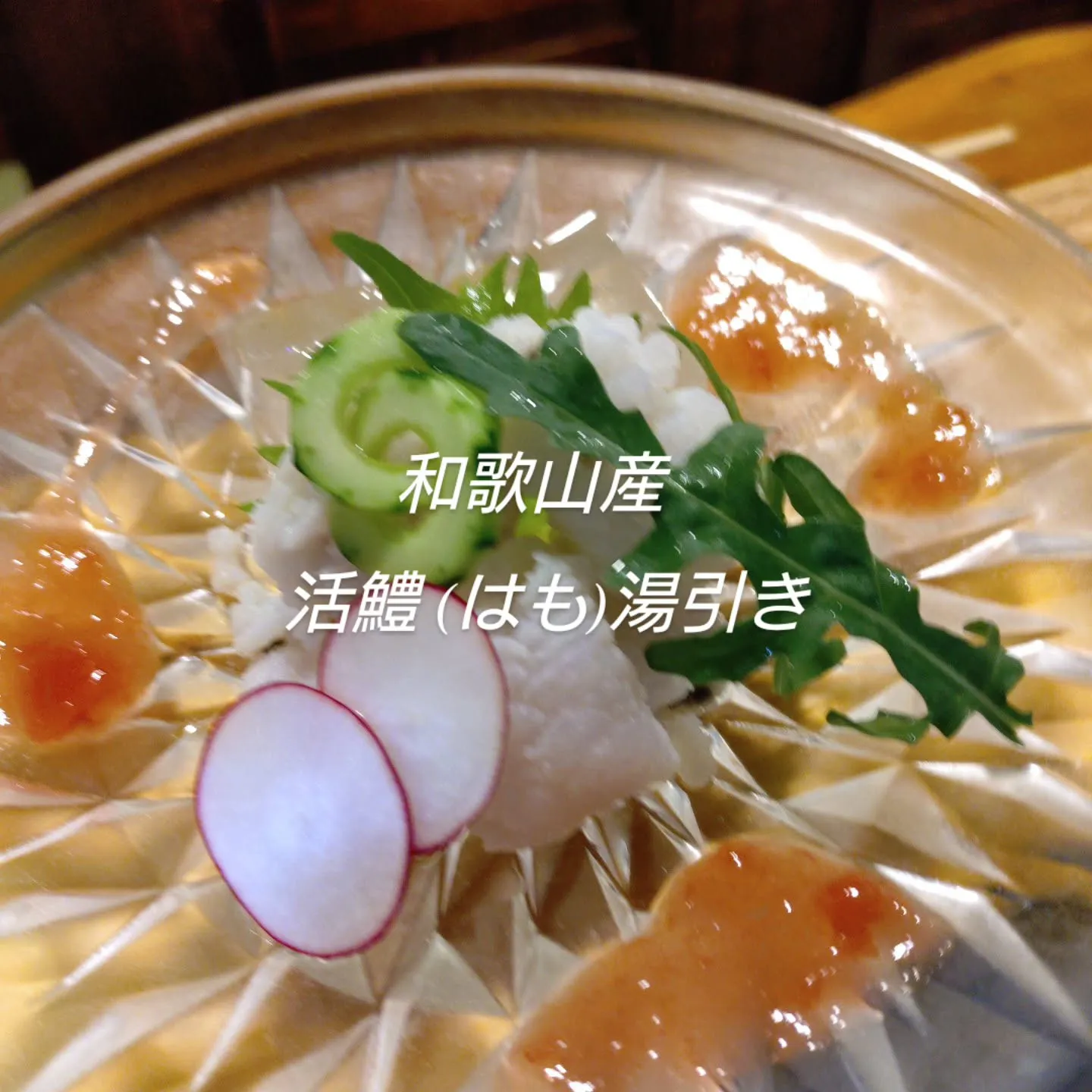 おすすめ料理のお知らせです。